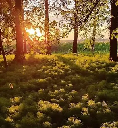 Jogas Sala * Ludza